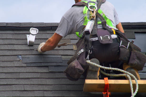 Best Roof Maintenance Services  in Chalco, NE