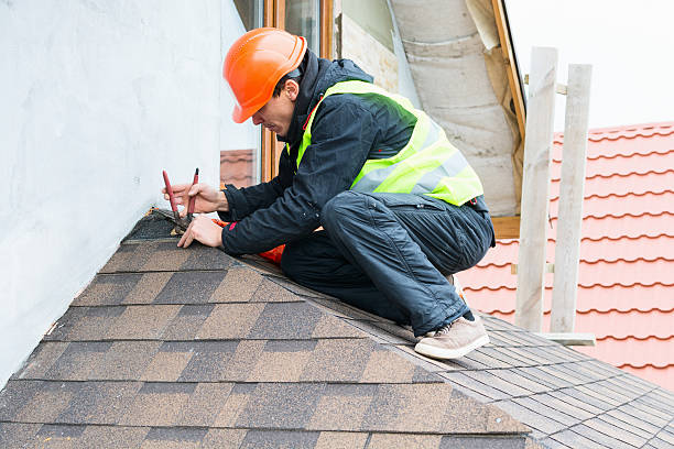 Best Metal Roofing Contractor  in Chalco, NE